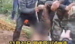 多人爆料溺亡视频播放,多人爆料溺亡视频引发社会关注